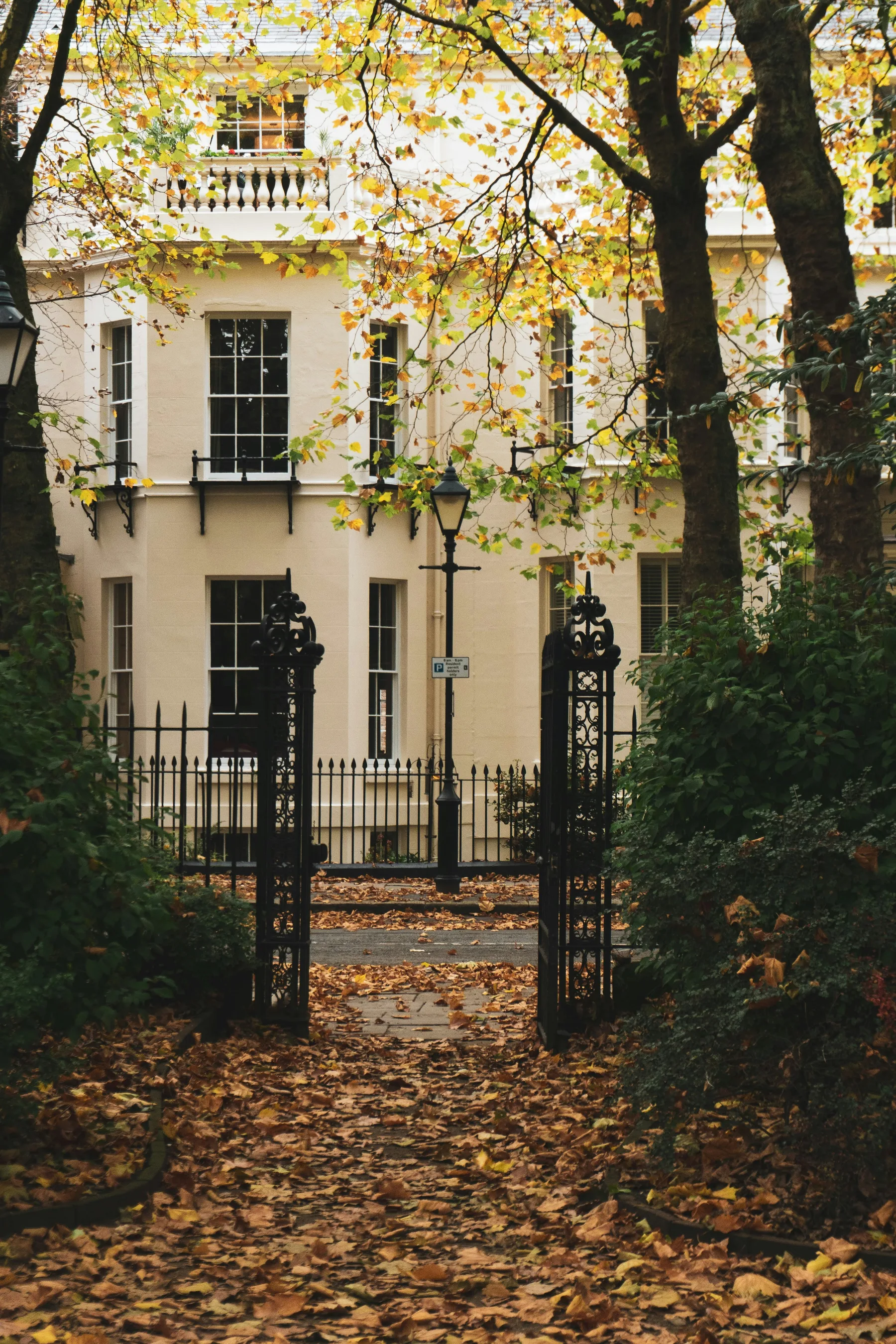 Iron garden gate opening onto a cream London terrace in autumn