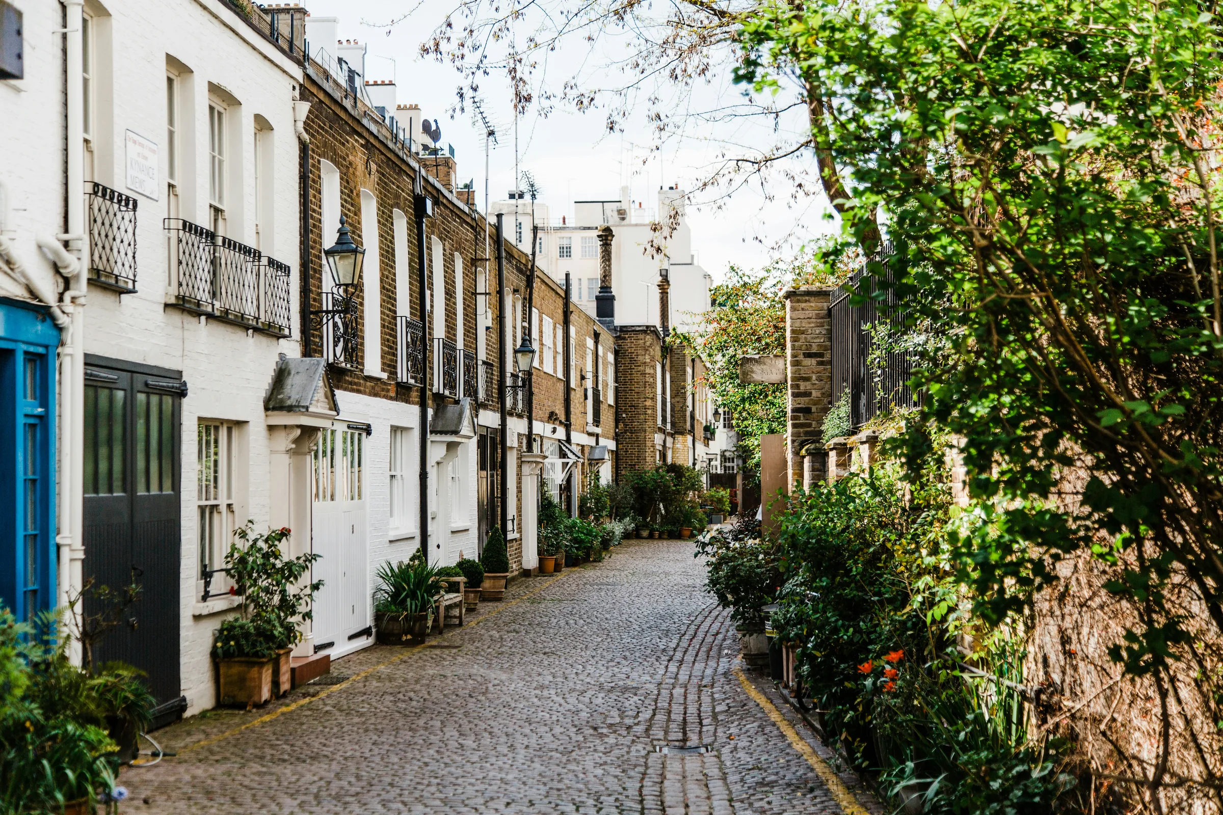 Cobbled London mews lined with plants and painted houses